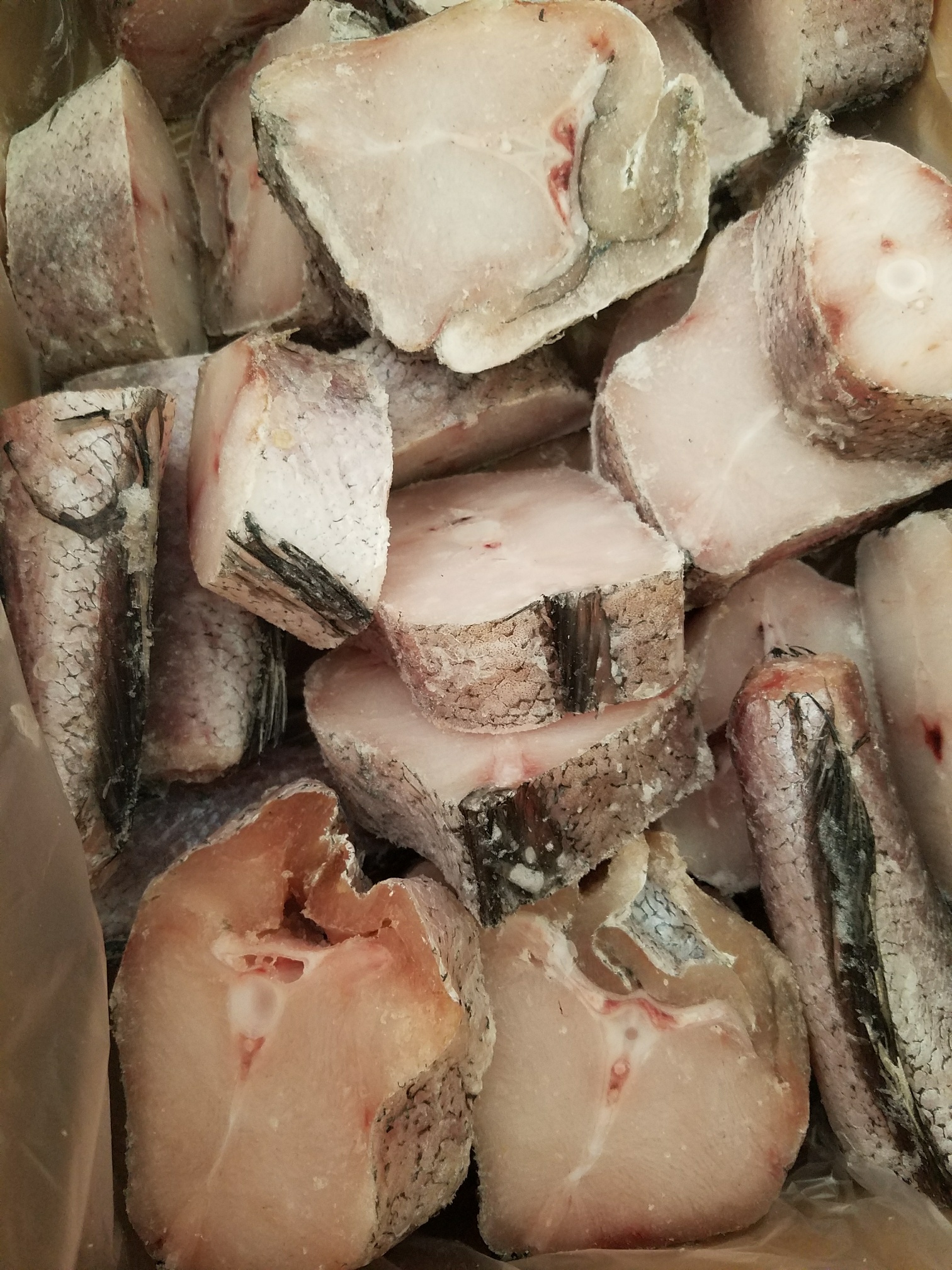 Fresh Stockfish 10lbs 