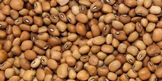 Brown Beans 50lbs