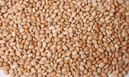 Oloyin Beans 50lbs